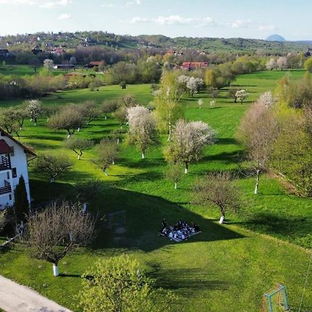 Pensiunea Din Livada Bran  Dış mekan fotoğraf