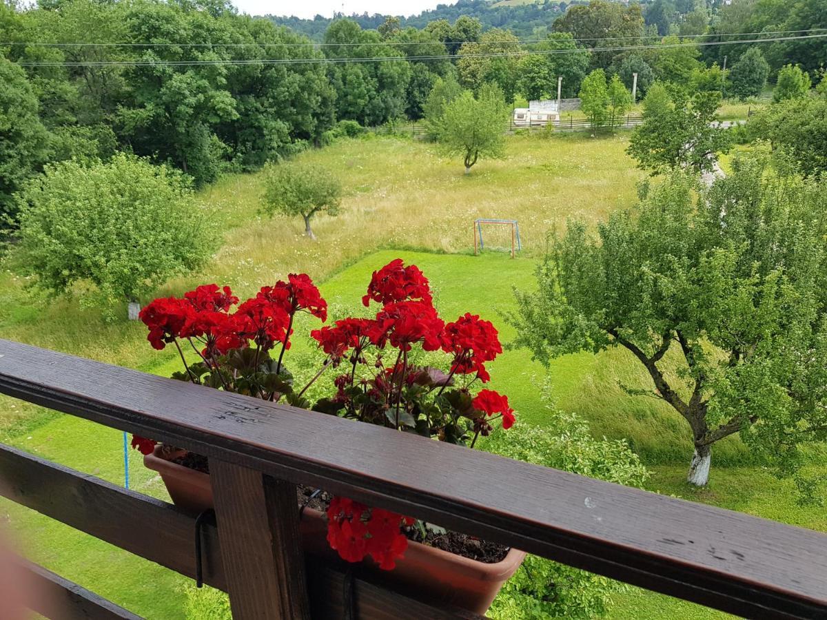 Pensiunea Din Livada Bran  Dış mekan fotoğraf