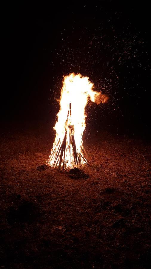 Pensiunea Din Livada Bran  Dış mekan fotoğraf