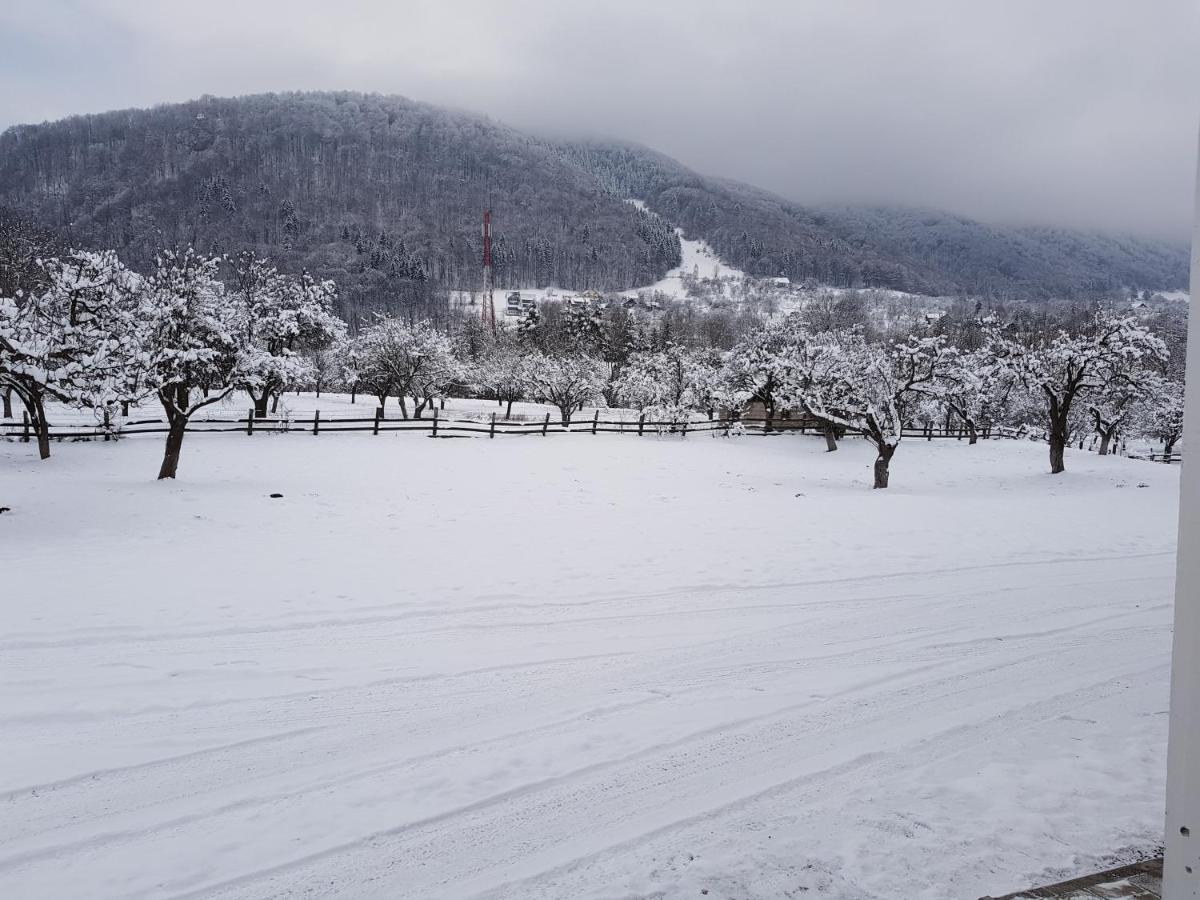 Pensiunea Din Livada Bran  Dış mekan fotoğraf