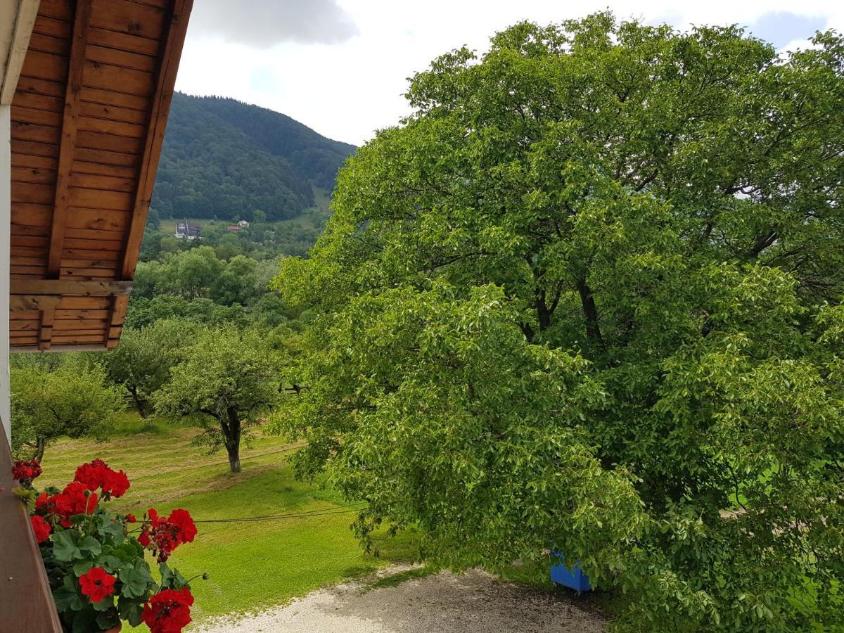 Pensiunea Din Livada Bran  Dış mekan fotoğraf