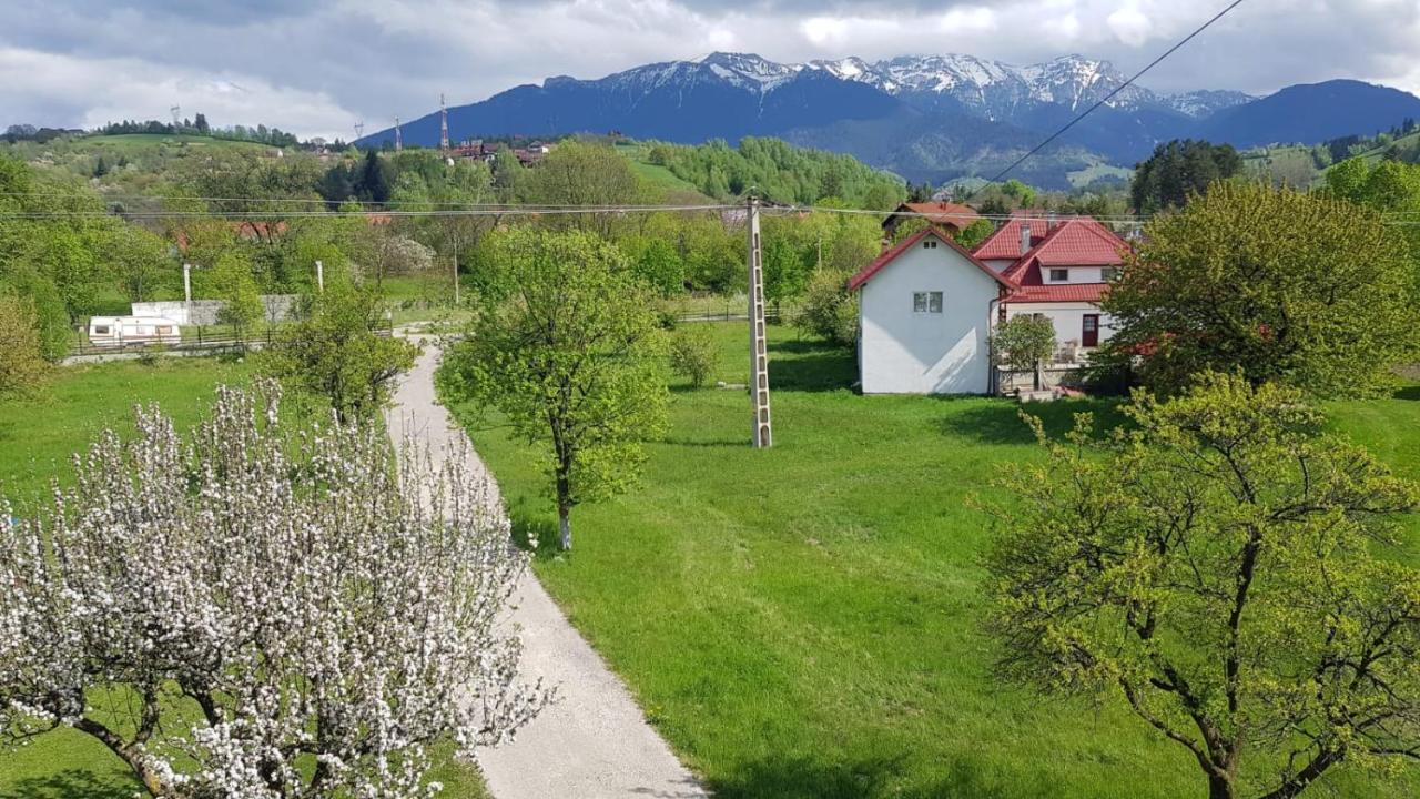 Pensiunea Din Livada Bran  Dış mekan fotoğraf