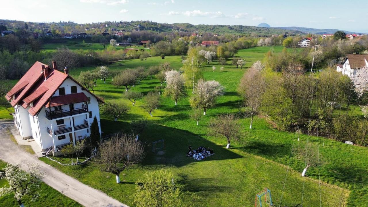 Pensiunea Din Livada Bran  Dış mekan fotoğraf