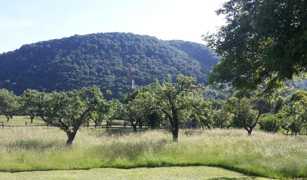 Pensiunea Din Livada Bran  Dış mekan fotoğraf